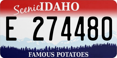 ID license plate E274480