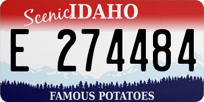 ID license plate E274484