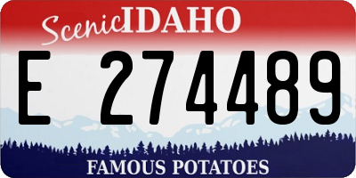 ID license plate E274489