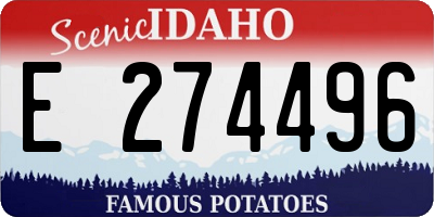 ID license plate E274496
