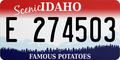 ID license plate E274503