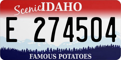ID license plate E274504