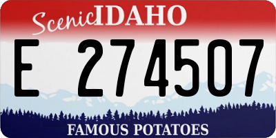ID license plate E274507