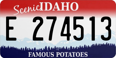 ID license plate E274513