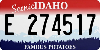 ID license plate E274517