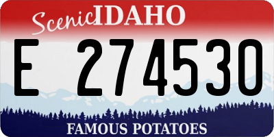 ID license plate E274530