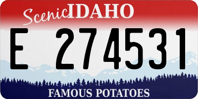 ID license plate E274531