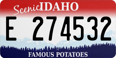 ID license plate E274532
