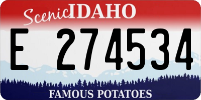 ID license plate E274534