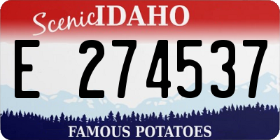 ID license plate E274537