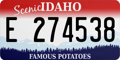 ID license plate E274538