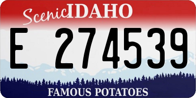 ID license plate E274539
