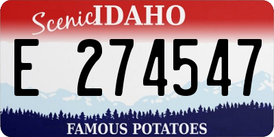 ID license plate E274547