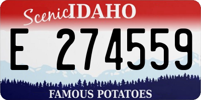 ID license plate E274559