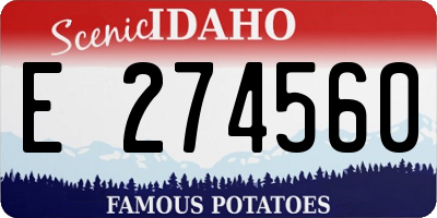 ID license plate E274560