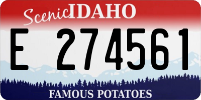 ID license plate E274561