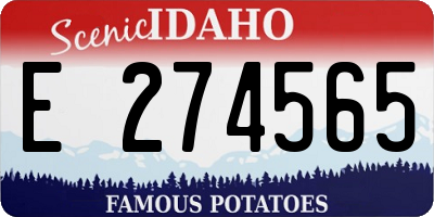 ID license plate E274565