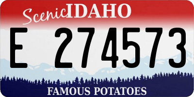 ID license plate E274573