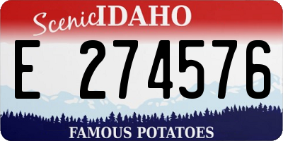 ID license plate E274576