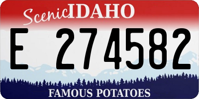 ID license plate E274582