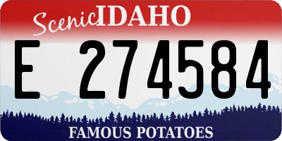 ID license plate E274584