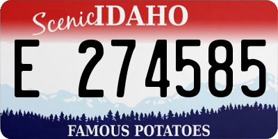 ID license plate E274585