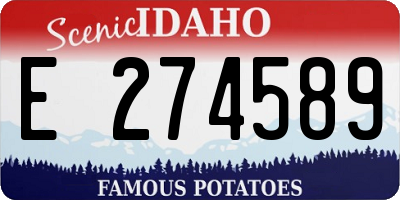 ID license plate E274589