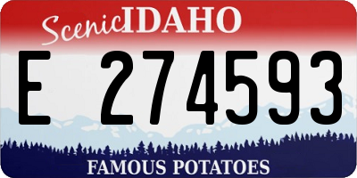 ID license plate E274593