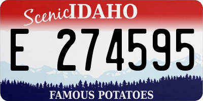 ID license plate E274595