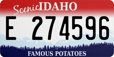 ID license plate E274596