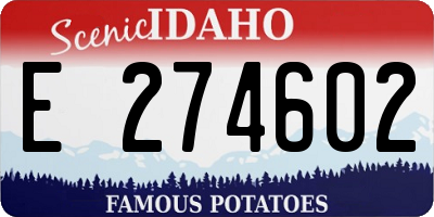 ID license plate E274602