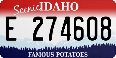 ID license plate E274608