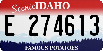 ID license plate E274613
