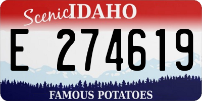 ID license plate E274619