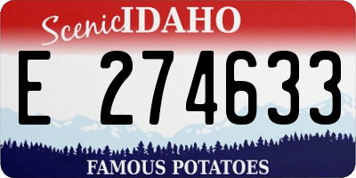 ID license plate E274633