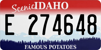 ID license plate E274648
