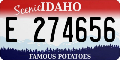 ID license plate E274656