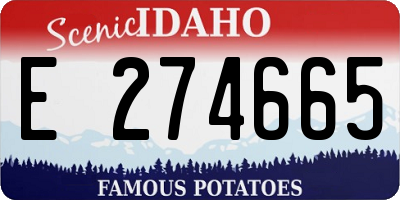 ID license plate E274665