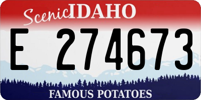 ID license plate E274673