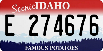 ID license plate E274676