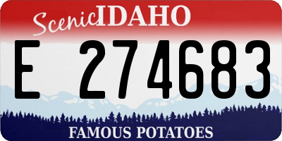 ID license plate E274683