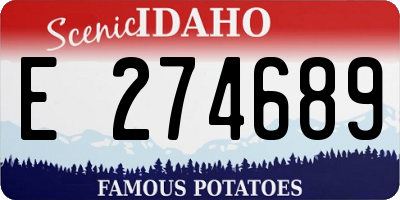 ID license plate E274689