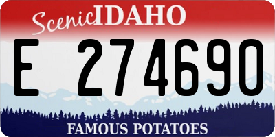 ID license plate E274690