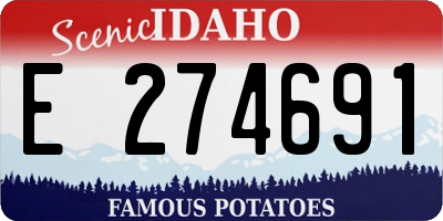 ID license plate E274691