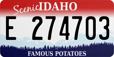 ID license plate E274703