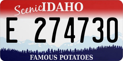 ID license plate E274730