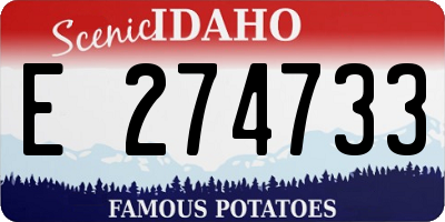 ID license plate E274733