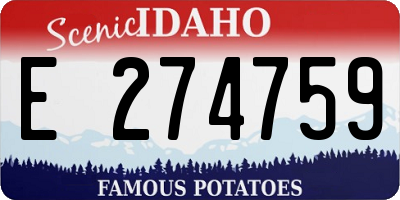 ID license plate E274759