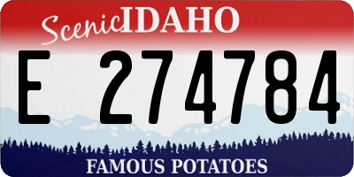 ID license plate E274784