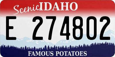 ID license plate E274802